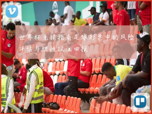 世界杯竞猜指南足球彩票中的风险评估与理性投注回报