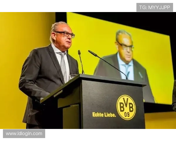 德甲球队背后的老板揭秘资本力量如何影响竞技表现