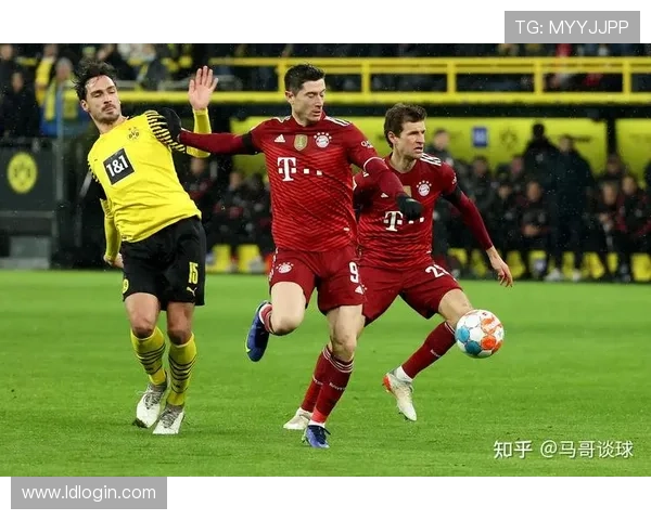 德甲联赛球队冠军排名顺序及历史数据解析